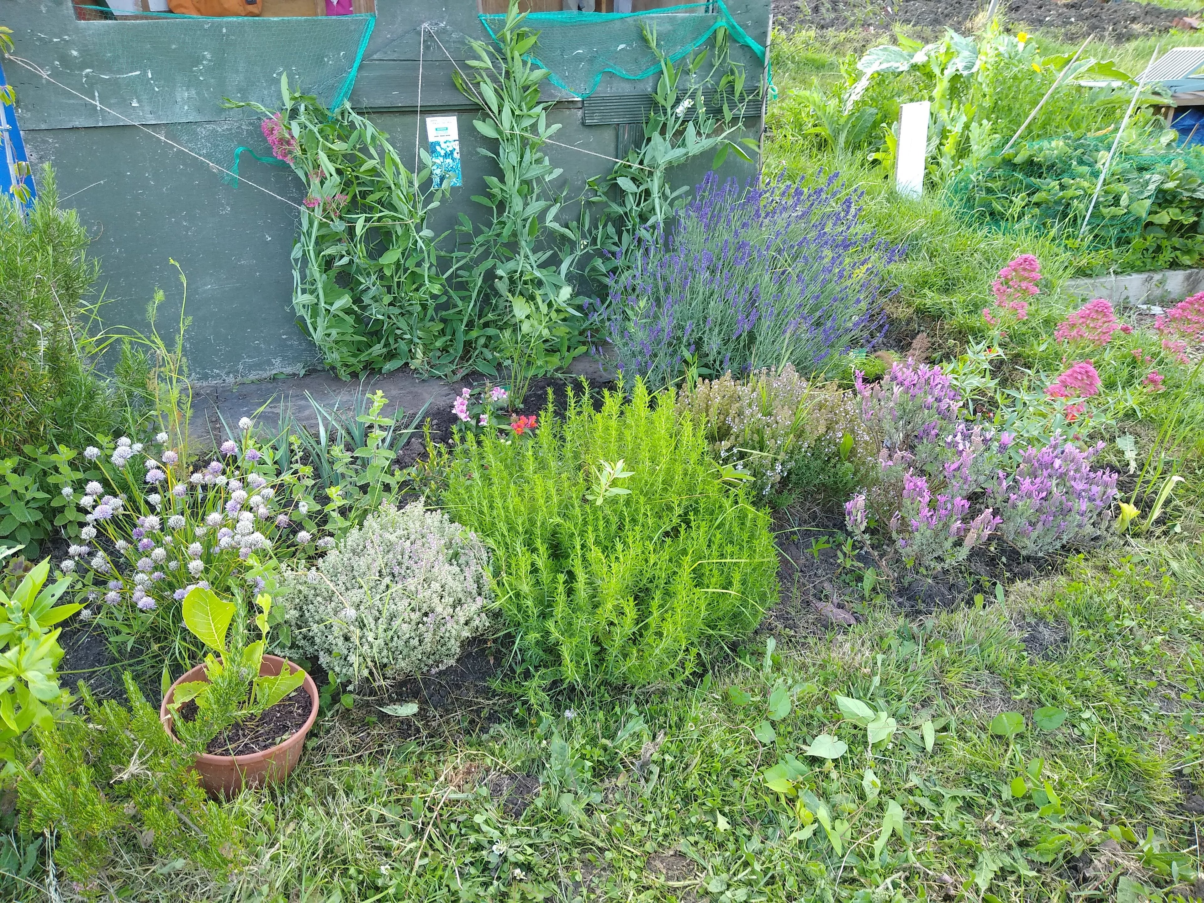 gardens