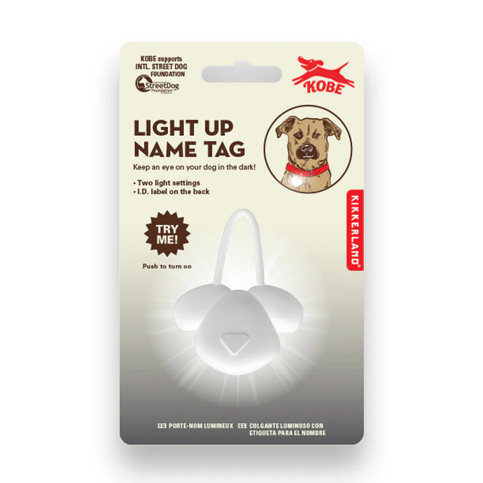 Light Up Name Tag