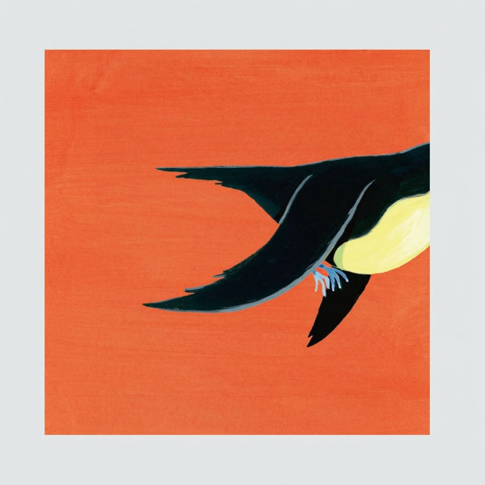 A stylized illustration of a bird tail in flight against a solid orange background, with black wings, a pale yellow chest, and light blue feet.