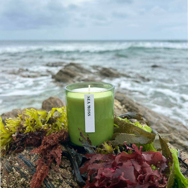 Green candle labeled 'Sea Moss' on a rock with seaweed and ocean in the background