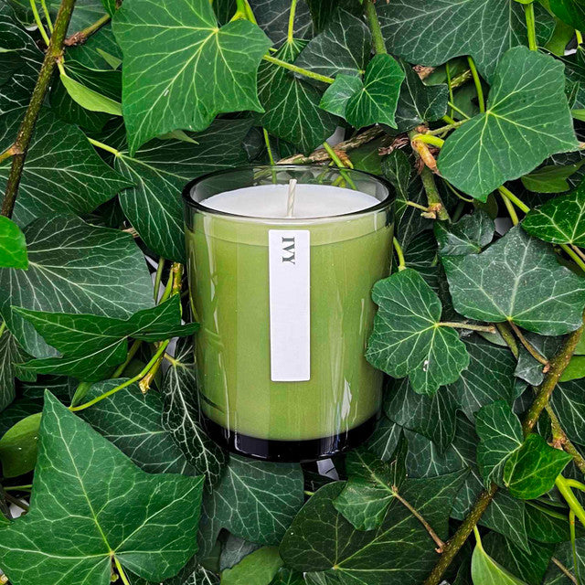 Green candle with a label on a bed of green leaves