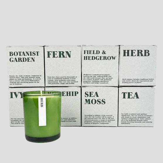 Green candle in front of white boxes with text labels on a white background
