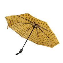 Recycled Umbrella