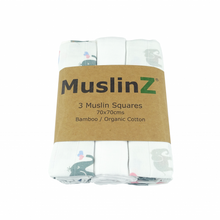 Muslin Squares - Multi Pk