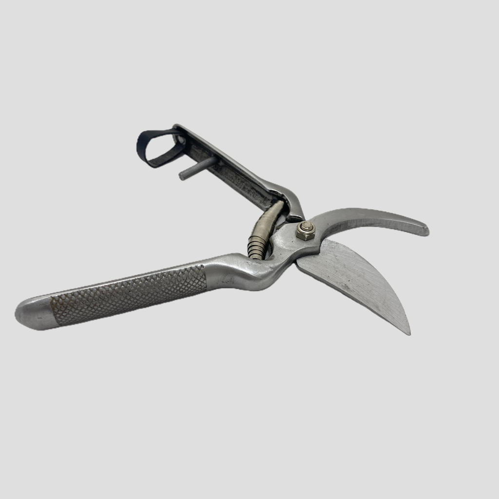 A pair of metal pruning shears with a  gray handle and silver blades, shown open against a solid light gray background.