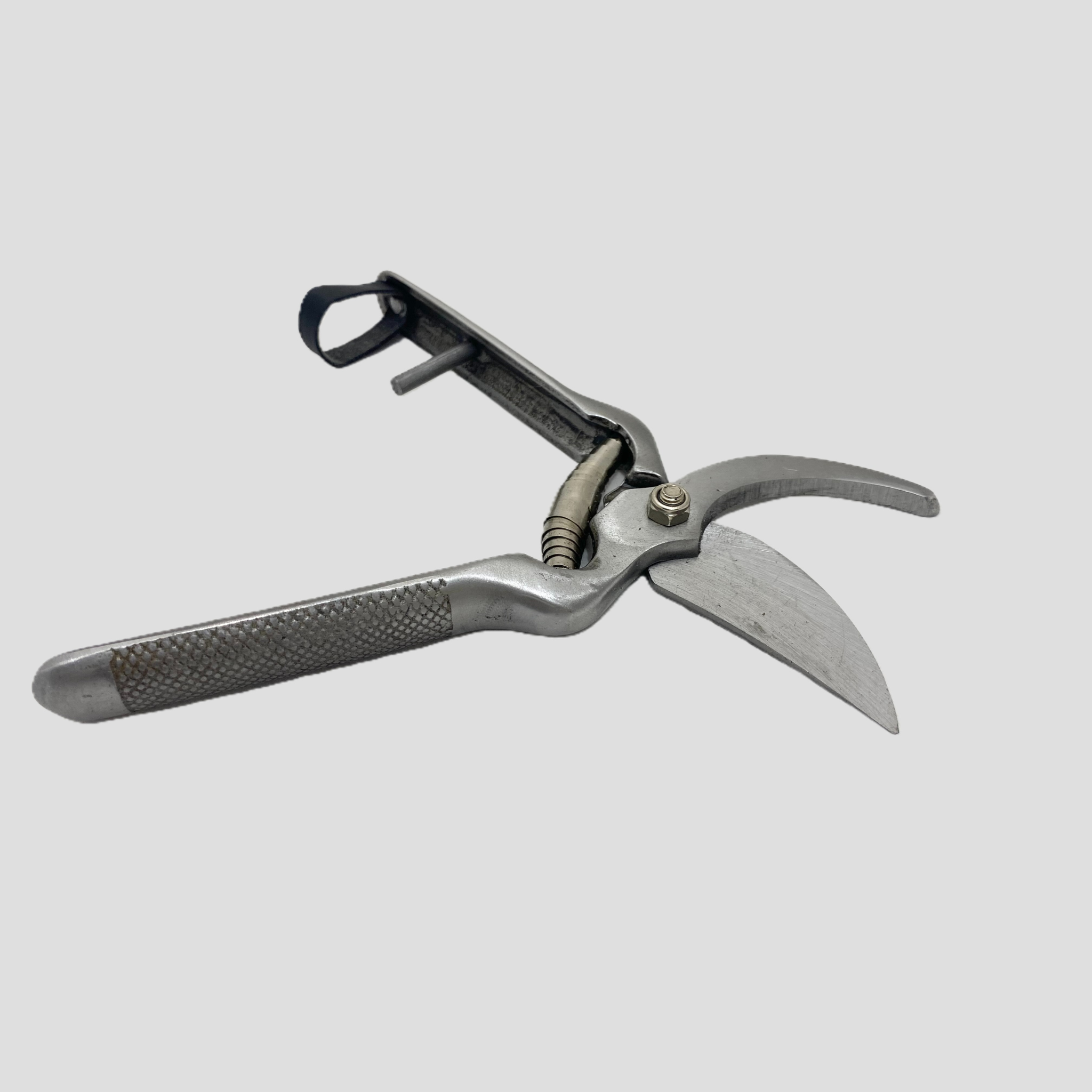 A pair of metal pruning shears with a  gray handle and silver blades, shown open against a solid light gray background.
