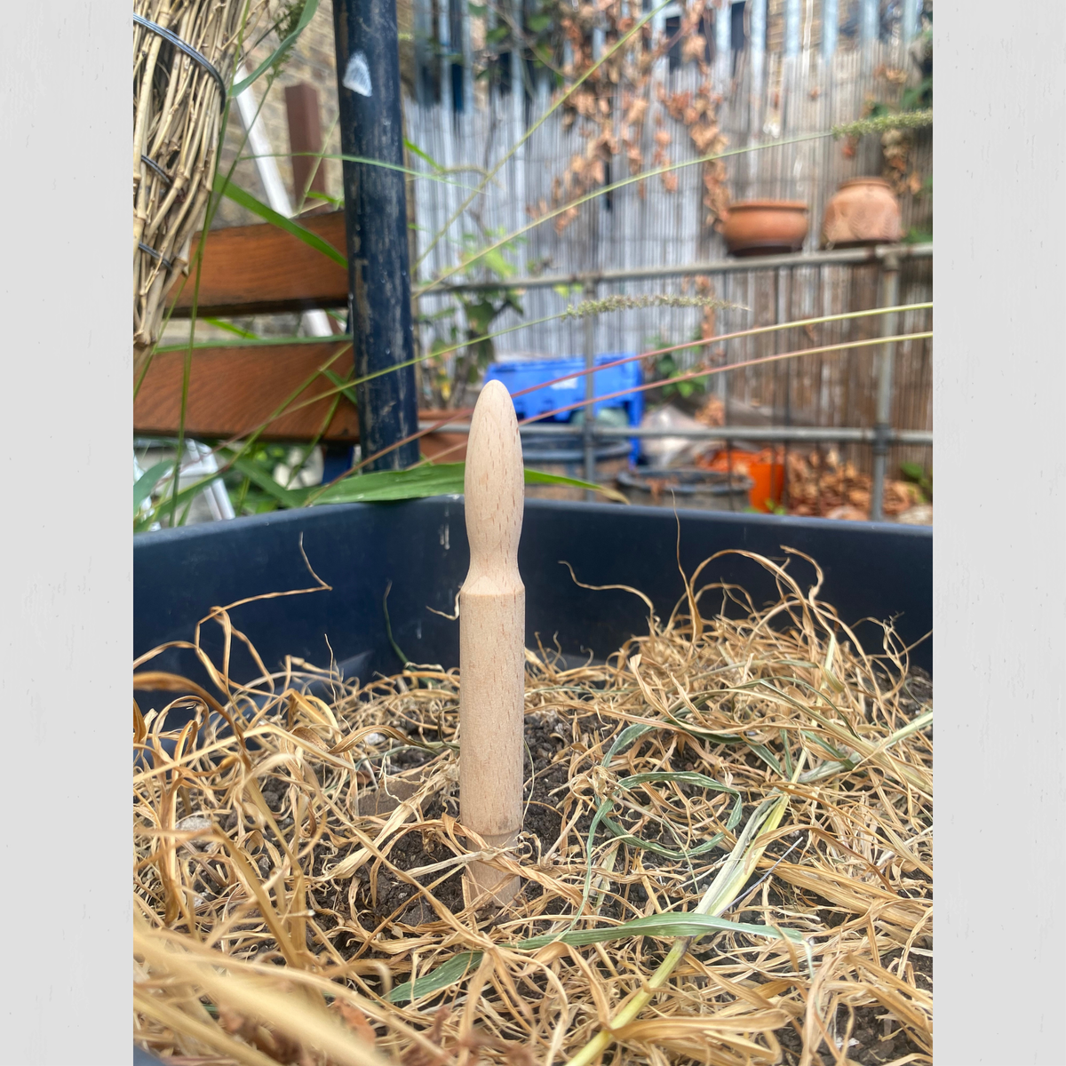 Garden Dibber