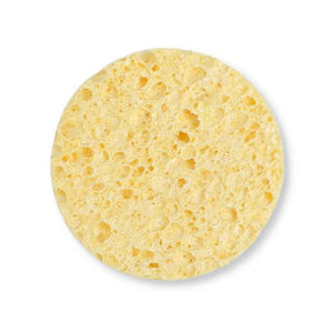 Cellulose Sponge