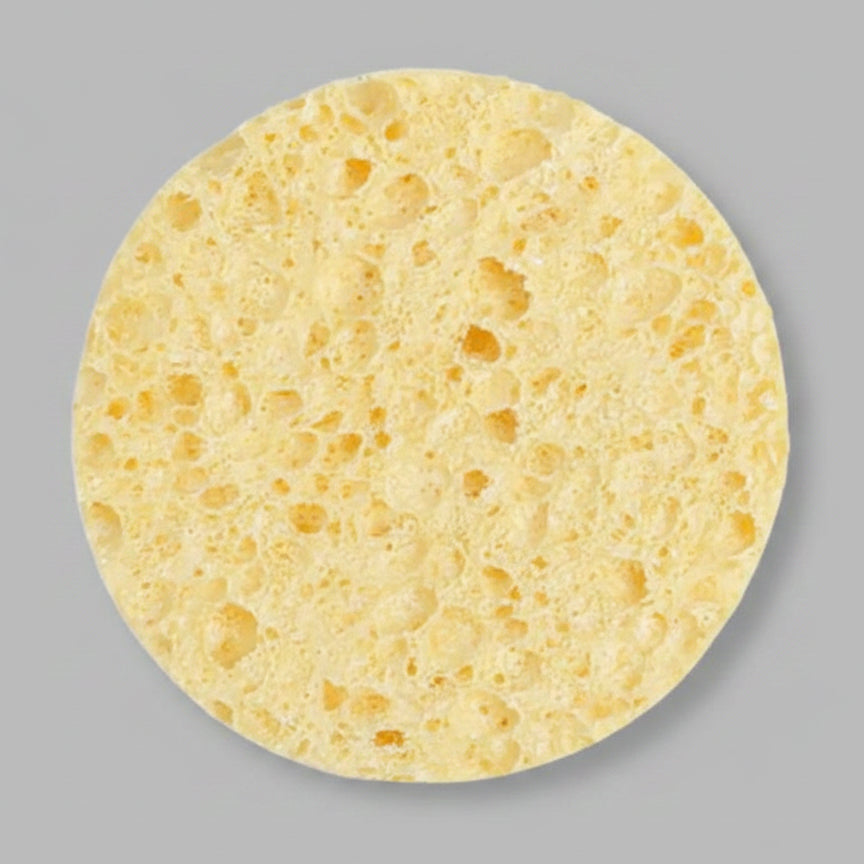 Round yellow sponge on a white background