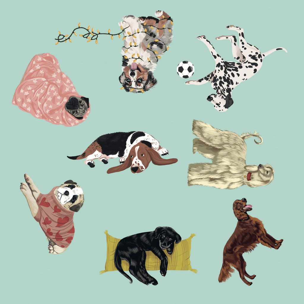 A collection of whimsical, hand-drawn style illustrations of dogs in various playful poses, including one wrapped in a pink blanket, a Dalmatian rolling on its back, a black and white tri-color dog, a cream-colored dog, a pug in a red patterned shirt, a black dog on a yellow pillow, and a brown dog jumping, all set against a solid pale mint green background.