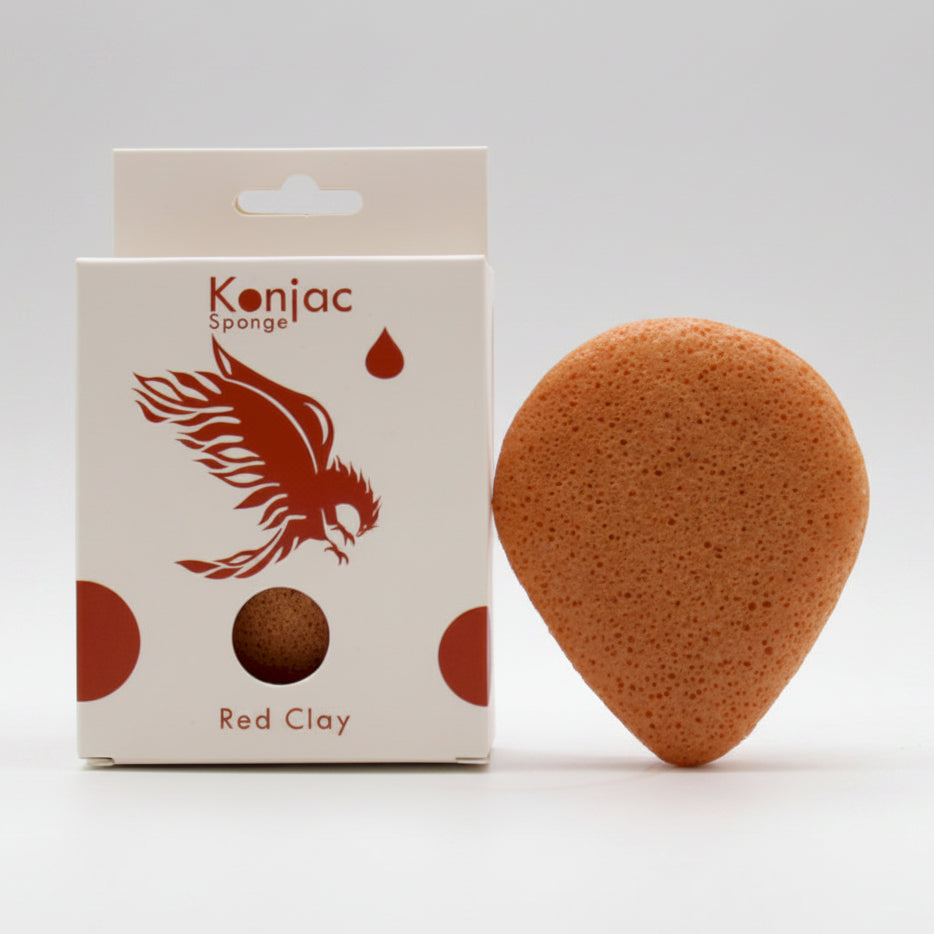 Konjac sponge with packaging on a white background