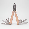 pruner with multi other attachments bldes