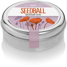 Seedball Tin