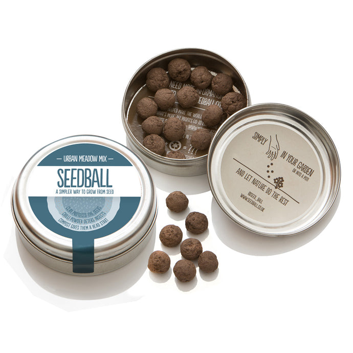 Seedball Tin