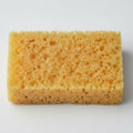 A rectangular piece of cellulose sponge with a porous texture.