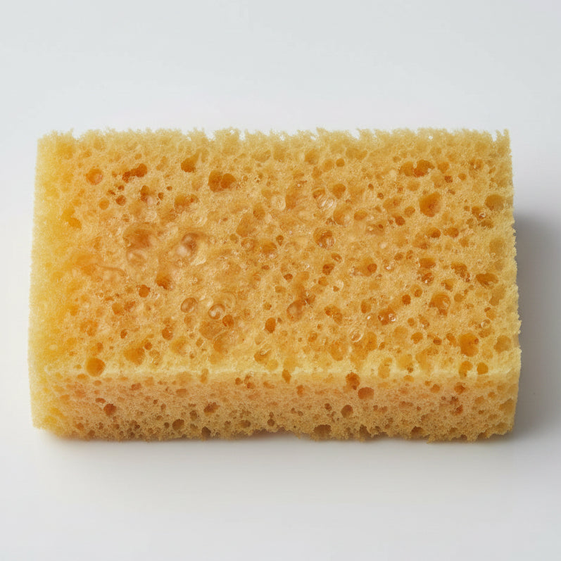 A rectangular piece of cellulose sponge with a porous texture.